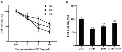 SiNPs induce ferroptosis in HUVECs through p38 inhibiting NrF2 pathway